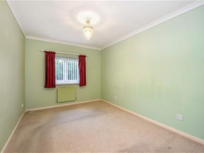 Picture 14